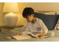 恐竜のペーパークラフトを無料ダウンロード！