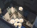 イタリア女性に学ぶランジェリーの愉しみ方