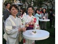 着物で愉しむ東京ミッドタウンの桜イベント