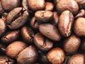 ピンク色に熟す爽やかな甘さが際立つ珈琲