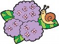 速報！ドラマ情報 2004年 6月号