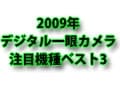 2009年、ガイドの注目したデジタル一眼カメラトップ3