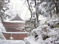 冬におすすめの寺と神社