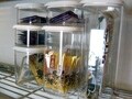 食材ストックの見える化で節約収納する