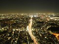 選ばれし大人の東京夜景シート