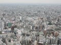 火災保険の改定で地震保険はどうなった？