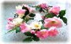 ガラスを使ったアレンジで涼しさを・・・　ガラスの花器で涼を呼ぼう！
