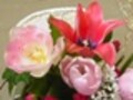 フラワーアレンジに役立つ！花の小事典vol.5　【4月の花】チューリップ