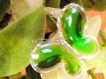 カラー4～リフレッシュ！黄緑色～