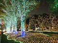 イルミネーションをきれいに写す撮影方法