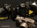 フィルムカメラの今後の行方は