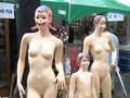『うめめ』に学ぶ、写真撮影術！