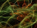 花火には見えない、これぞ花火アート撮り