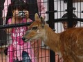 好きを表現するには愛で撮る