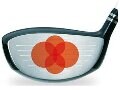 SLEルール施行前！NEWドライバーの傾向は？