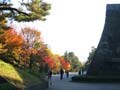 皇居周回ランニングコースのツウになる3