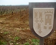 ぶどう畑の土に触れて　フランス★グルメ旅紀行＜６＞