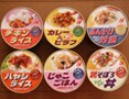 チンして食べるアイスクリームサイズの冷凍ごはん　ニチレイ『プチめし』