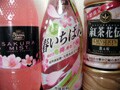 もうすぐお花見・桜で一杯！