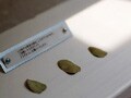 CORB（コルブ）…文京区小石川