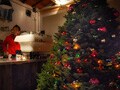 BEAR PONDのX’masは「ジブラルタル」！