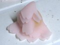 「塩野」赤坂で春を愛でる