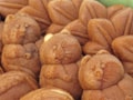 手土産の和菓子特集