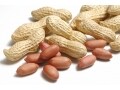 節分の豆まきに落花生・ピーナッツはアリ？大豆にない驚きの利便性