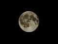 十三夜・十日夜… "十五夜以外"の月見って？片見月は縁起悪い？