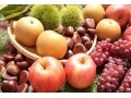 秋の果物・味覚狩りの時期とおいしい果実の見分け方