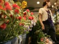 「粋」なはからいで恋も仕事もトラブル回避