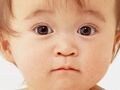 2005年の名付け・赤ちゃんの名前ランキング