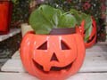 100円ショップでこんなにハロウィン！