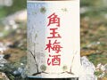 「焼酎ベースの梅酒」ベスト５！