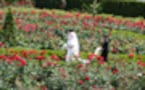 ホテルニューオータニのローズウェディング　６月の花嫁は赤いバラに埋もれて