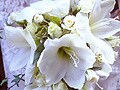イマドキ結婚式にふさわしい装いはコレ！　結婚式に何着てく!?