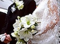 あなたは読む、読まない？「花嫁の手紙」