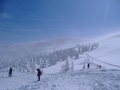 蔵王の樹氷、冬限定の魅惑の絶景／山形