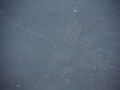 ナスカの地上絵／ペルー