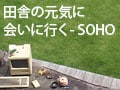 田舎の元気に会いに行く-SOHO