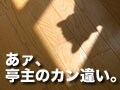 田舎暮らし、あァ亭主のカン違い