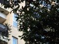 注目のマンション「ブリスベージュ神宮前」