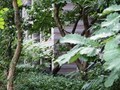 高級マンションが演出する「緑と街並み」
