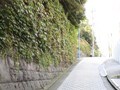都心の利便性、極めたいなら何処に住む？