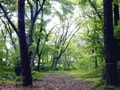 注目のプロジェクト「パークシティ浜田山」