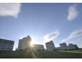 地震に強い構造はこれだ！マンション編