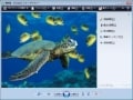 画像編集や加工、CGもパソコンなら簡単にできる