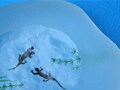 五感で楽しむ涼やかさ　夏のインテリア
