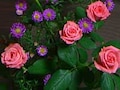 リラックス効果もUPする植物の照明