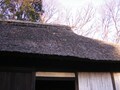 屋根形状で変わる？　住宅の雨漏りと寿命